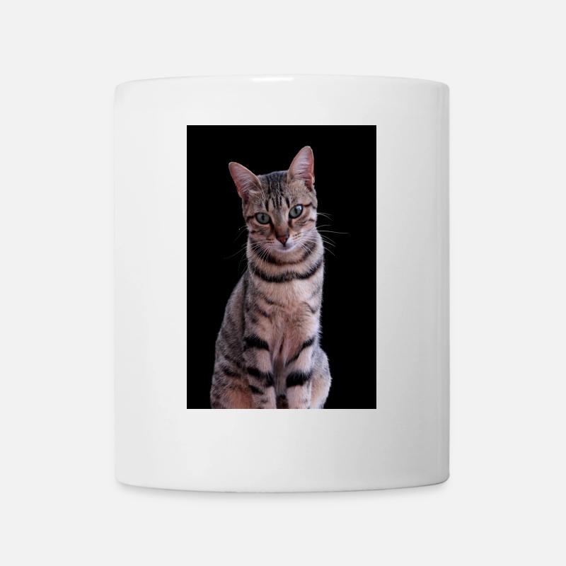 Cat cat sweet kitten - Mug - white