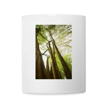Springbäume aus einem niedrigen Winkel - Tasse - Weiß - Vorne