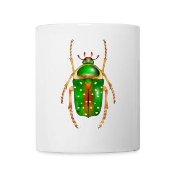 Stephanorrhina guttata-beautiful insect - Mug - white - Front