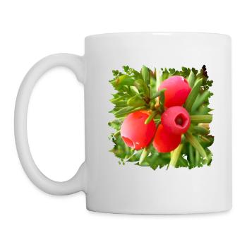 L’if est un conifère natif toxique - Mug blanc - blanc - Gauche