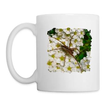List-Spinnen sind eine Spinnenart in Gärten - Tasse - Weiß - Links