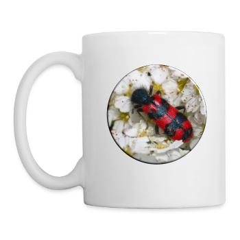 The bee beetle or beewolf - Mug - white - Left