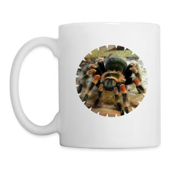 The red-knee tarantula as a pet - Mug - white - Left