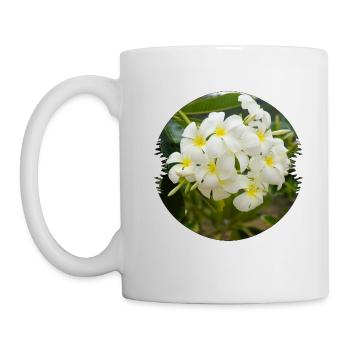 Plumeria are represented in the tropics - Mug - white - Left