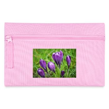 Grappe de crocus violet dans le jardin de printemps - Trousse - rose - Devant
