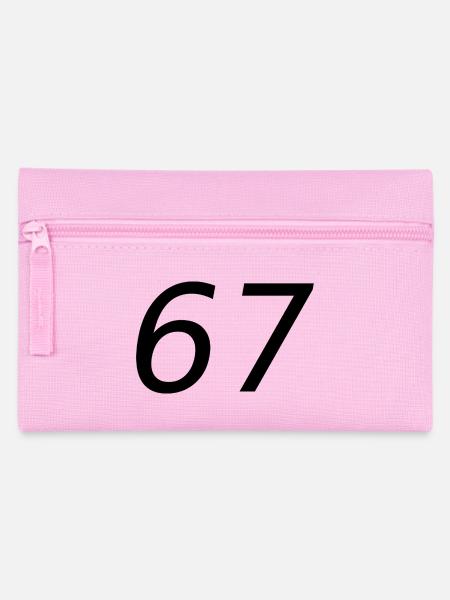67 - Federtasche - Rosa