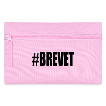 FERRY. BACCALAUREAT. PATENT. DNB. EXAMINATION. WELL DONE - Pencil Case - pink - Front