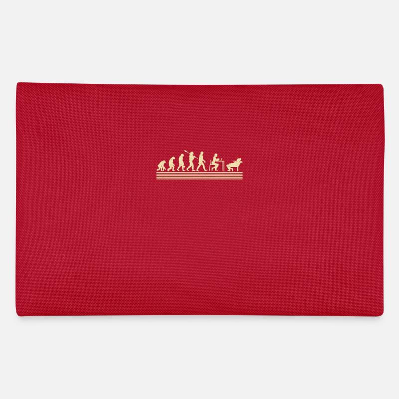 Évolution du psychologue scolaire Trousse