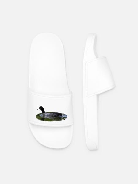Coot Waterfowl Bird - Men’s Pool Sliders - white