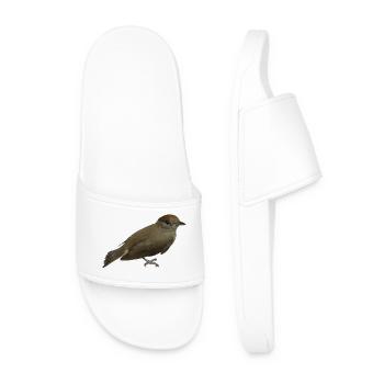 Blackcap female - Men’s Pool Sliders - white - Front