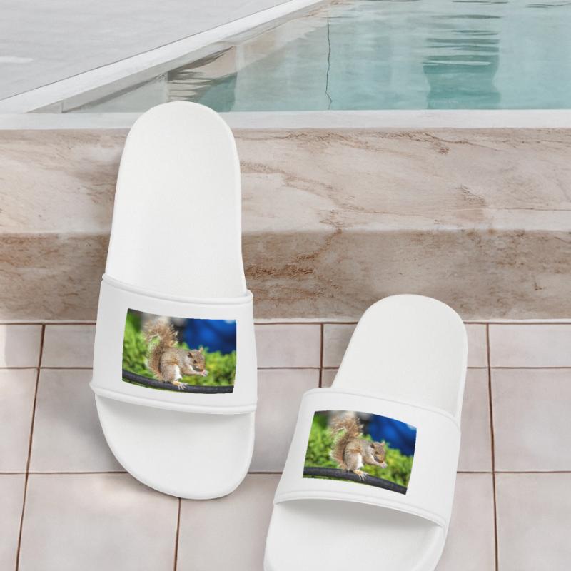 Eating Grey squirrel Grauhörnchen Sciurus carolin Men’s Pool Sliders