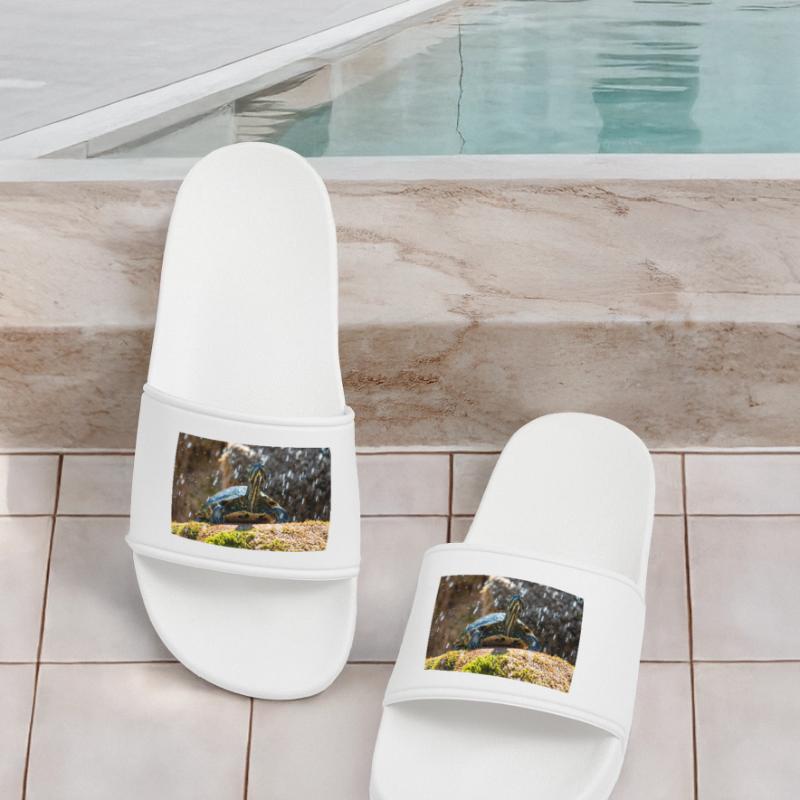 Trachemys scripta scripta scripta Claquettes Homme