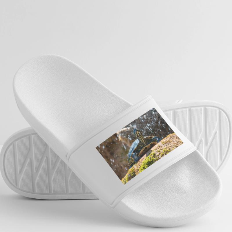 Trachemys scripta scripta scripta Claquettes Homme