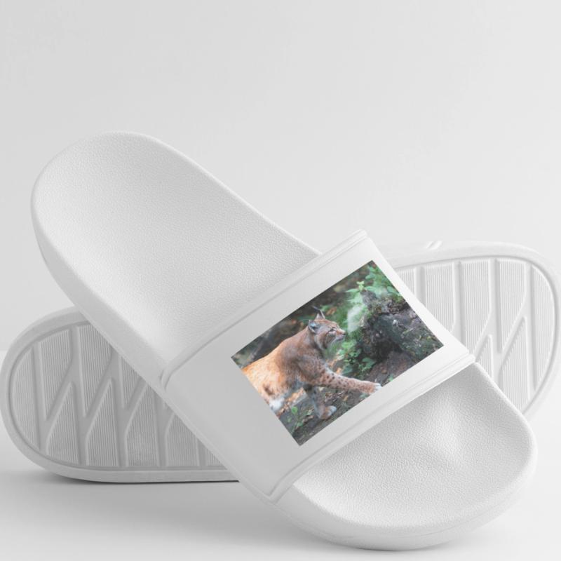 Eurasischer Luchs oder Nördlicher Luchs Männer Badelatschen