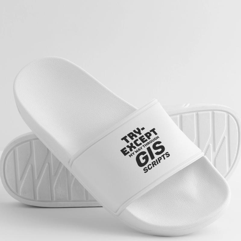 GIS Scripts Programming Try Except Debugging Men’s Pool Sliders