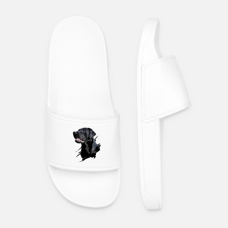 Labrador - Men’s Pool Sliders - white