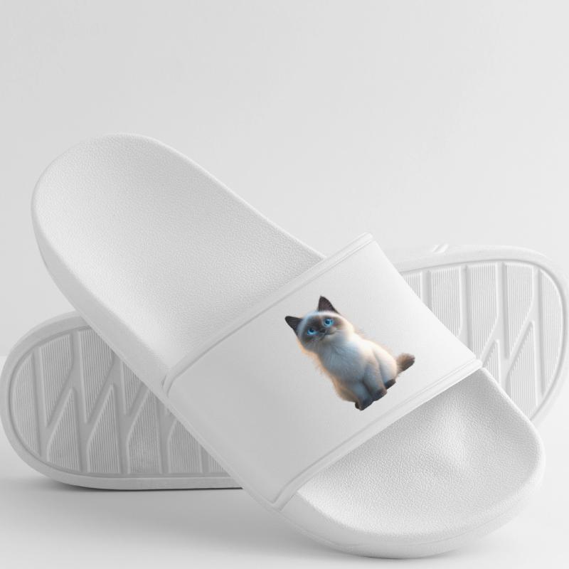 Chat Birman Chat Birman Sacré Chat Birman Mignon Chats Birmans Claquettes Homme