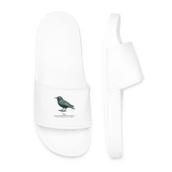 Silhouette d’étoile | Ornithologie | Dessin - Claquettes Homme - blanc - Devant