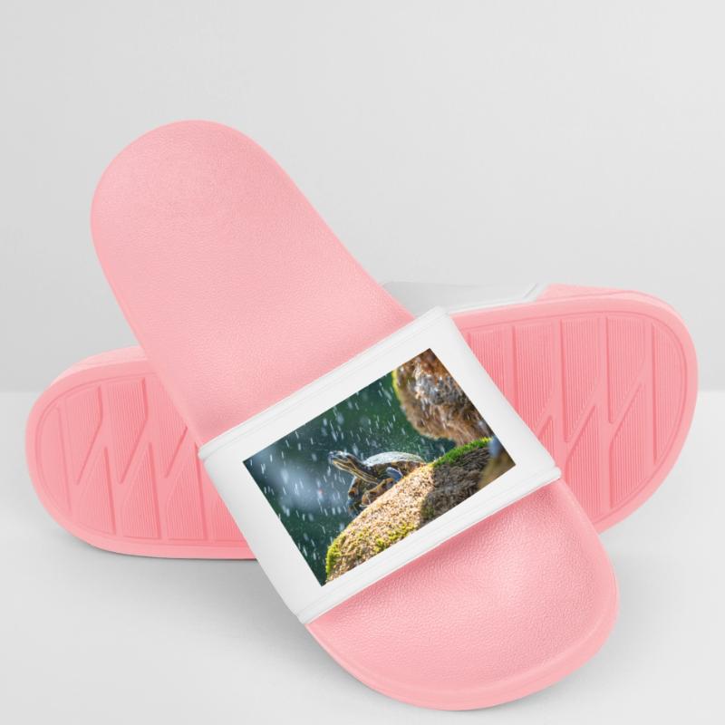 Trachemys scripta scripta scripta Claquettes Homme