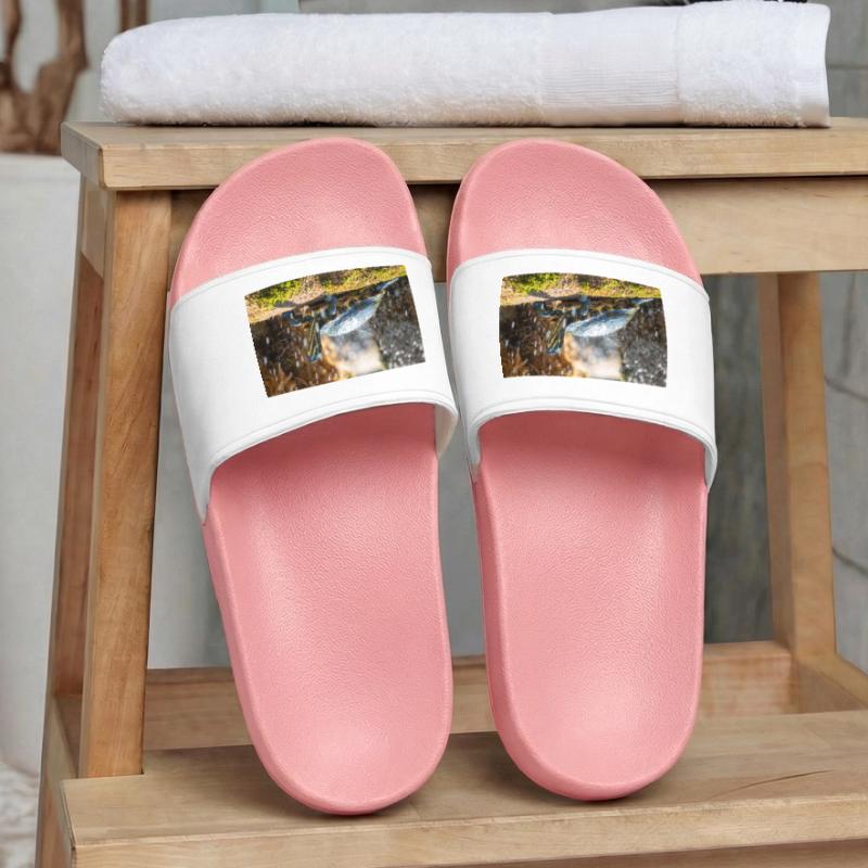 Trachemys scripta scripta scripta Claquettes Homme