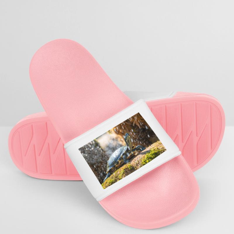 Trachemys scripta scripta scripta Claquettes Homme