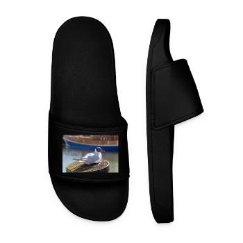 Seagull in Büsum Harbor Germany Poster - Men’s Pool Sliders - black - Front