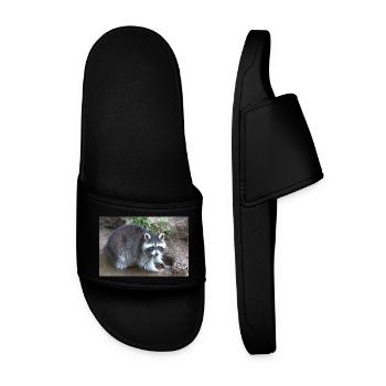 Raton laveur d’Amérique du Nord (racoons) - Claquettes Homme - noir - Devant