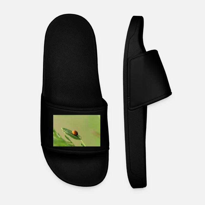 Ladybug Beetle May Beetle - Men’s Pool Sliders - black
