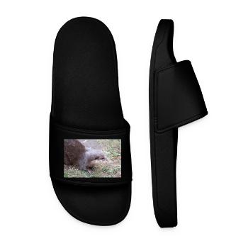 Asian small-clawed otter dwarf god - Men’s Pool Sliders - black - Front
