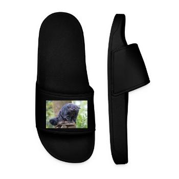 Binturong also bearcat Marderbär Arctictis - Men’s Pool Sliders - black - Front