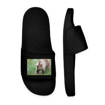 European brown bear (Braunbär) Ursus arctos - Men’s Pool Sliders - black - Front
