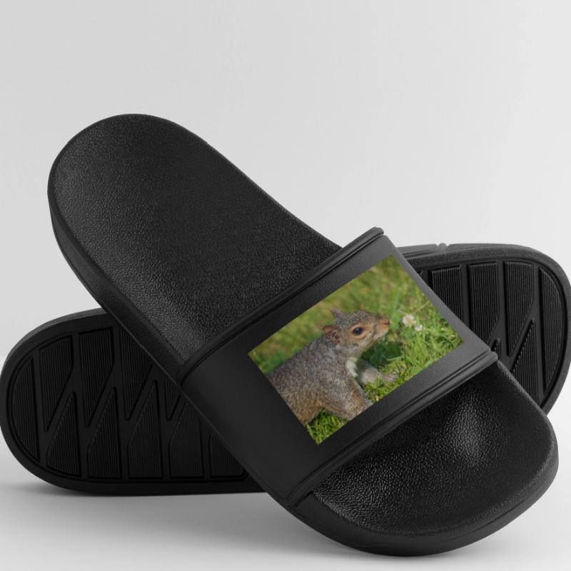 Grey squirrel Grauhörnchen Sciurus carolinensis Men’s Pool Sliders