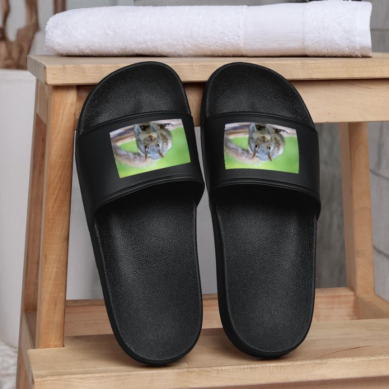 Grey squirrel Grauhörnchen Sciurus carolinensis Men’s Pool Sliders