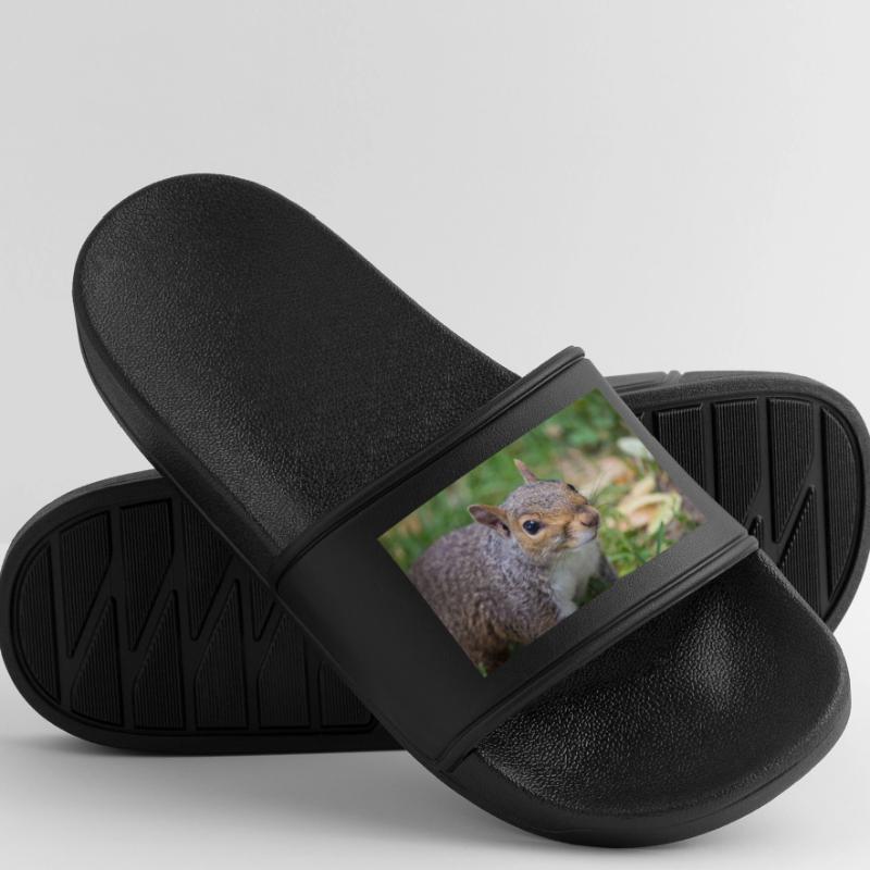 Grey squirrel (in german Grauhörnchen) Sciurus Men’s Pool Sliders