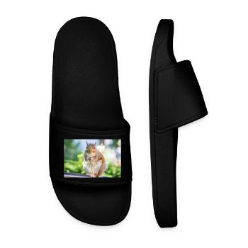 Eating Grey squirrel Grauhörnchen Sciurus carolin - Men’s Pool Sliders - black - Front