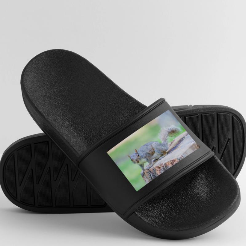 Grey squirrel Grauhörnchen Sciurus carolinensis Men’s Pool Sliders