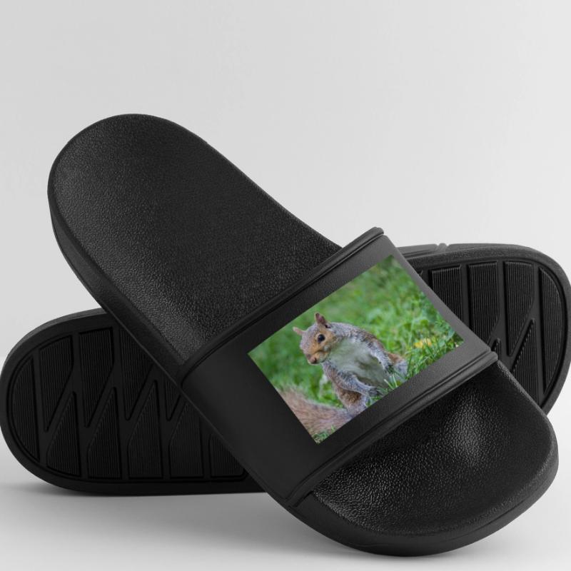 Grey squirrel Grauhörnchen Sciurus carolinensis Men’s Pool Sliders