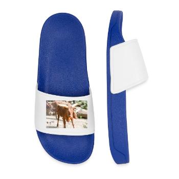 Ankole-Watusi or Ankole Longhorn Watussirind - Men’s Pool Sliders - royal blue - Front