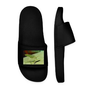 Krauss's Bush-cricket Isophya kraussii - Men’s Pool Sliders - black - Front