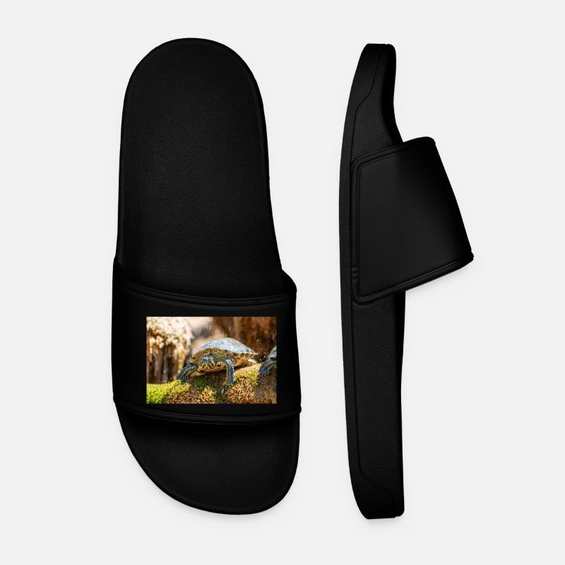 Yellow-bellied slider Trachemys scripta scripta - Men’s Pool Sliders - black