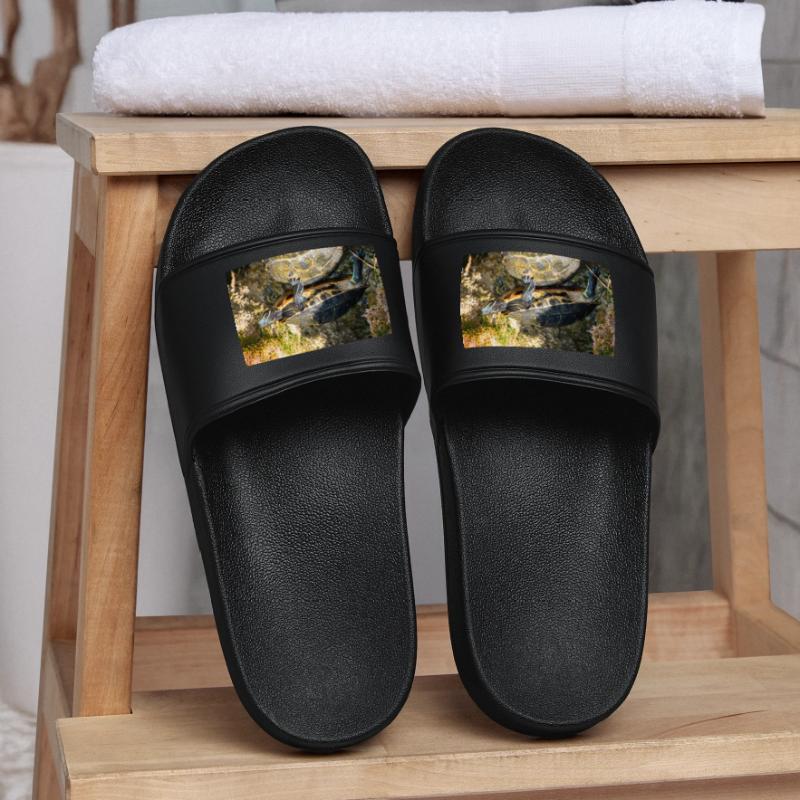 Trachemys scripta scripta scripta Claquettes Homme