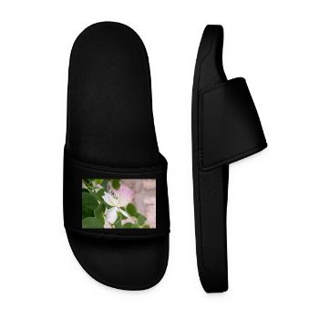 caper bush also Flinders rose Capparis spinosa - Men’s Pool Sliders - black - Front