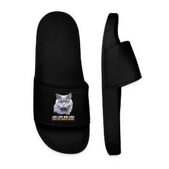 Cat Cats British Shorthair British Shorthair - Men’s Pool Sliders - black - Front