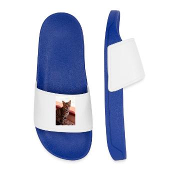 cat, kitten - Men’s Pool Sliders - royal blue - Front