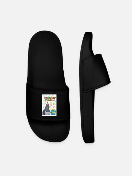 Birthday Pigeon Party - Men’s Pool Sliders - black