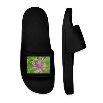 greater knapweed also centaurea Skabiosen-Flocken - Men’s Pool Sliders - black - Front
