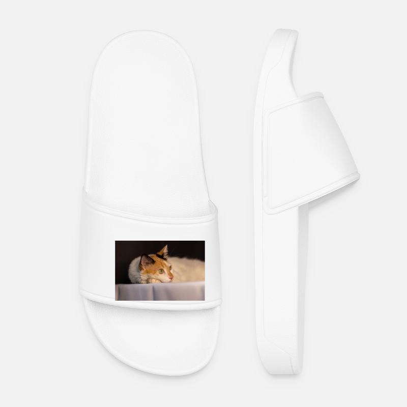 The cat - Women’s Pool Sliders - white