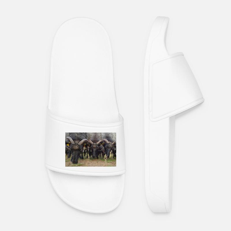 Lueneburg Heath - Women’s Pool Sliders - white