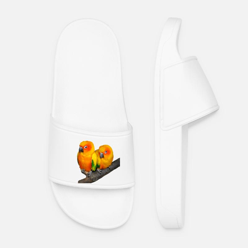 birds - Women’s Pool Sliders - white