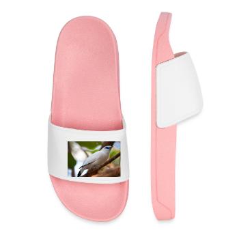 Bali starling Balistar Bali-Mynah, Leucopsar - Women’s Pool Sliders - light pink - Front